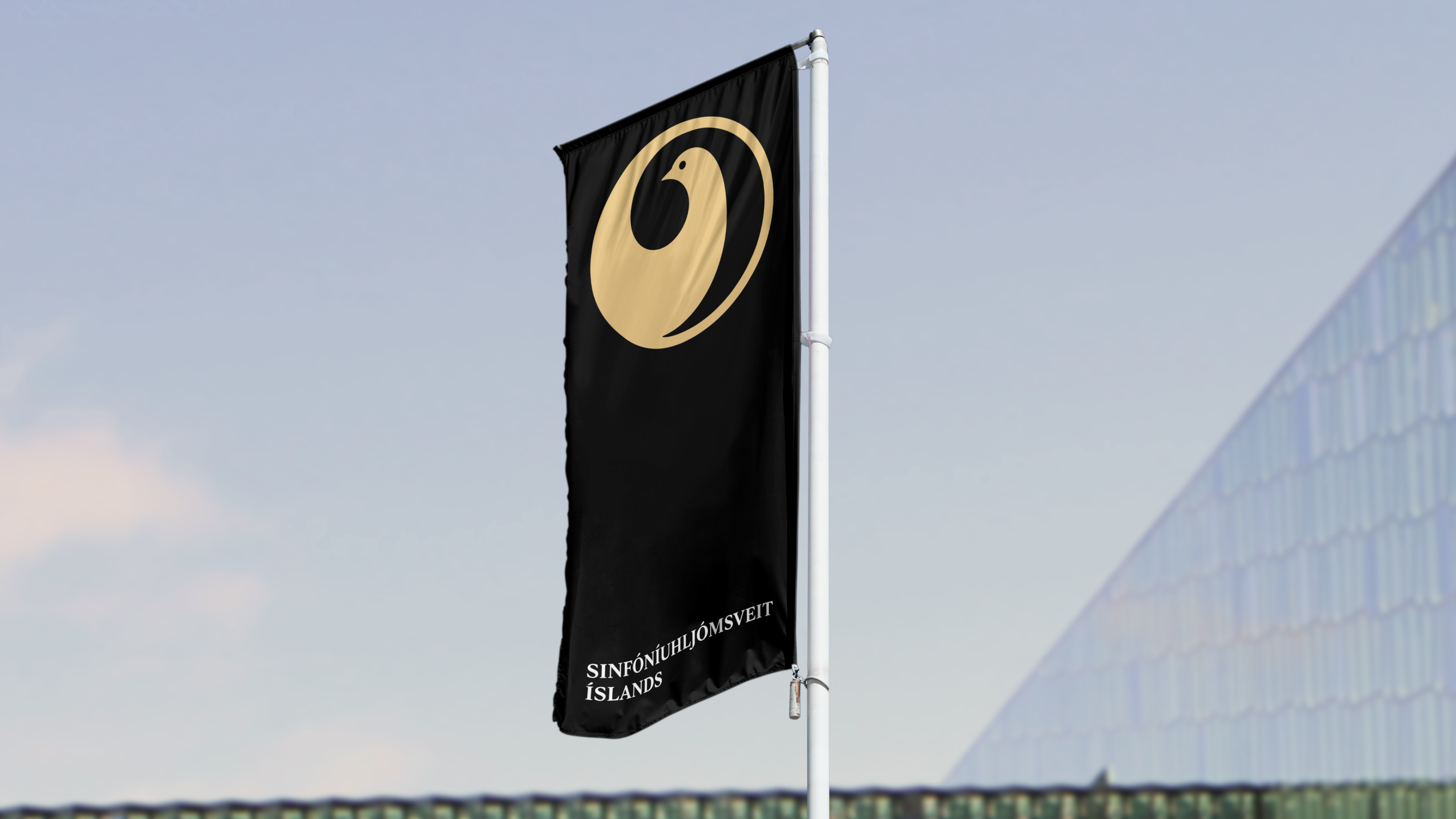 Sinfo-AtonCS-Flag-1920x1080-1at2x